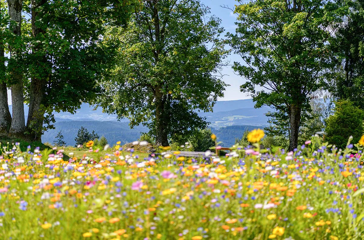 Familienurlaub im Bayerischen Wald in Bodenmais (2 Nächte) - 7