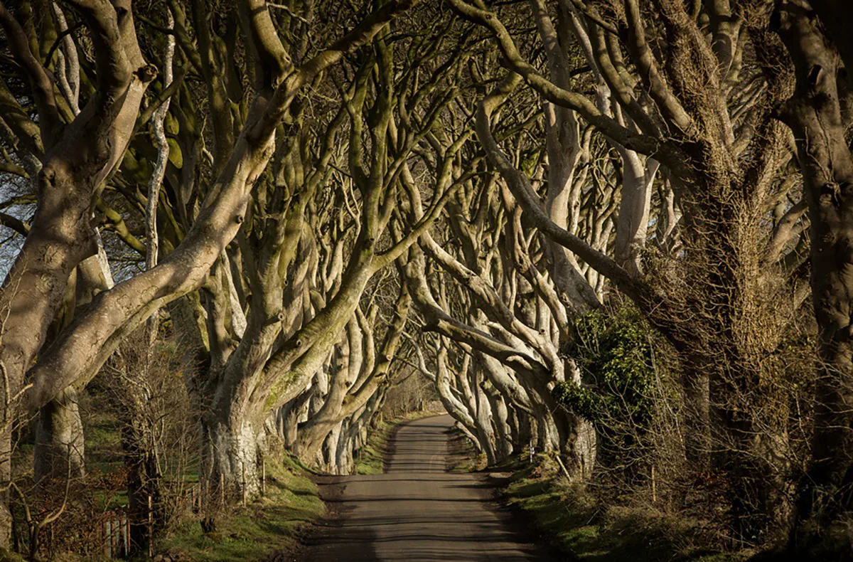 Game of Thrones Filmreise Irland (7 Nächte) - 5