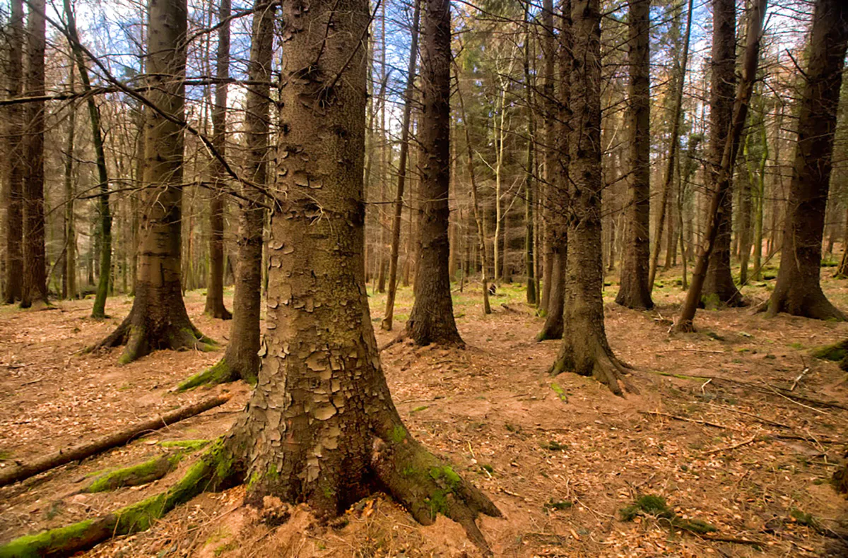 Game of Thrones Filmreise Irland (7 Nächte) - 6