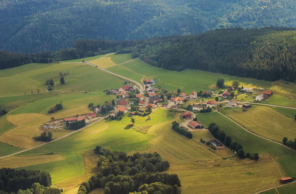 Flugzeug fliegen Freiburg im Breisgau (60 Min.) - 4