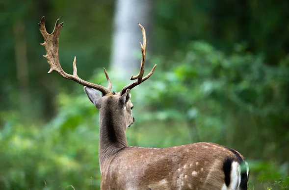 Fotografie Kurs Landsberg am Lech