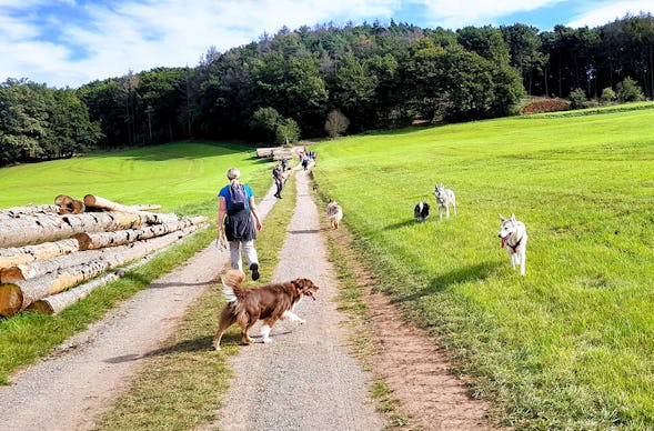 Geführte Wanderungen mit Hund