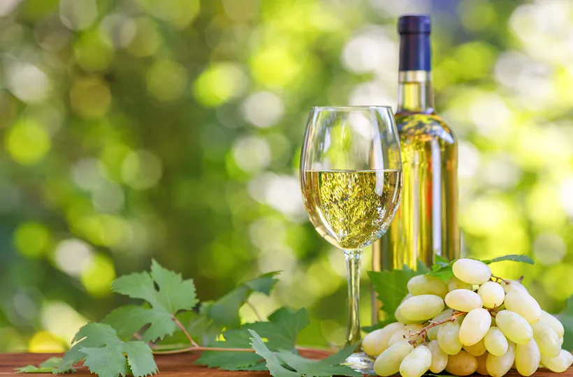 Geführte Weinwanderung Freyburg