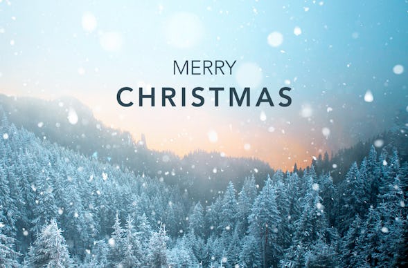 Flexibles Geschenk Tannenbaum