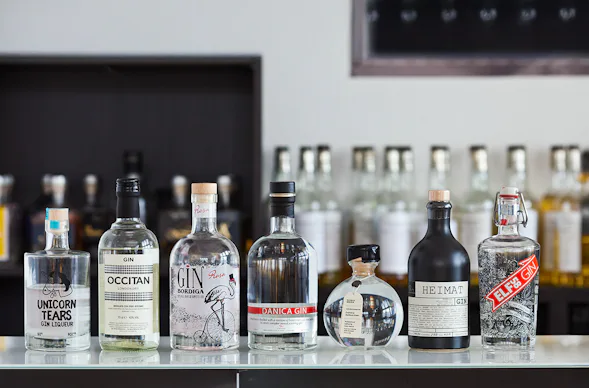 Gin Seminar Düsseldorf (für Einsteiger)