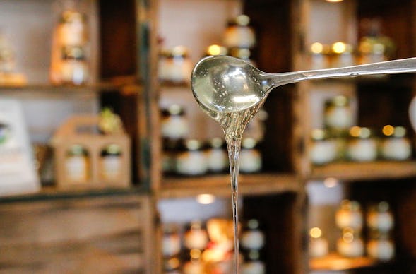 Honig Verkostung Bühl