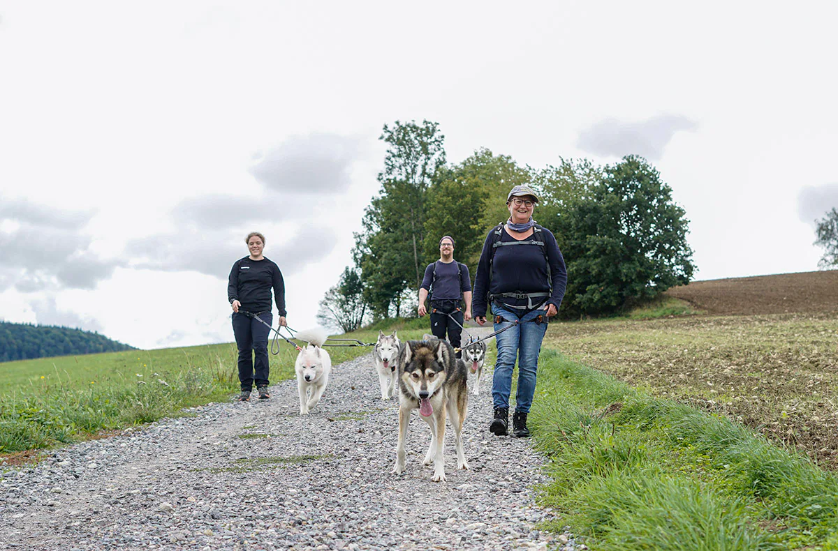 Husky Tagesausflug Bettmaringen - 2