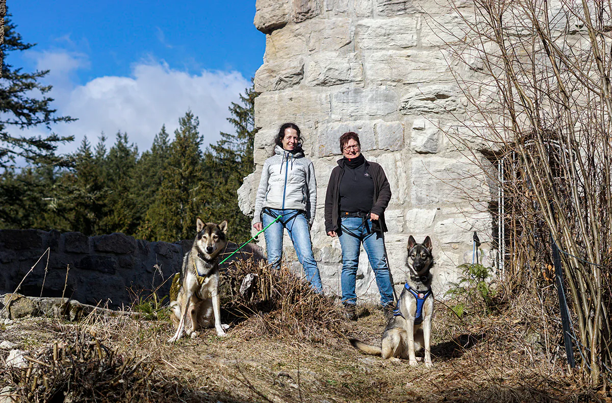 Husky Tagesausflug Bettmaringen - 3