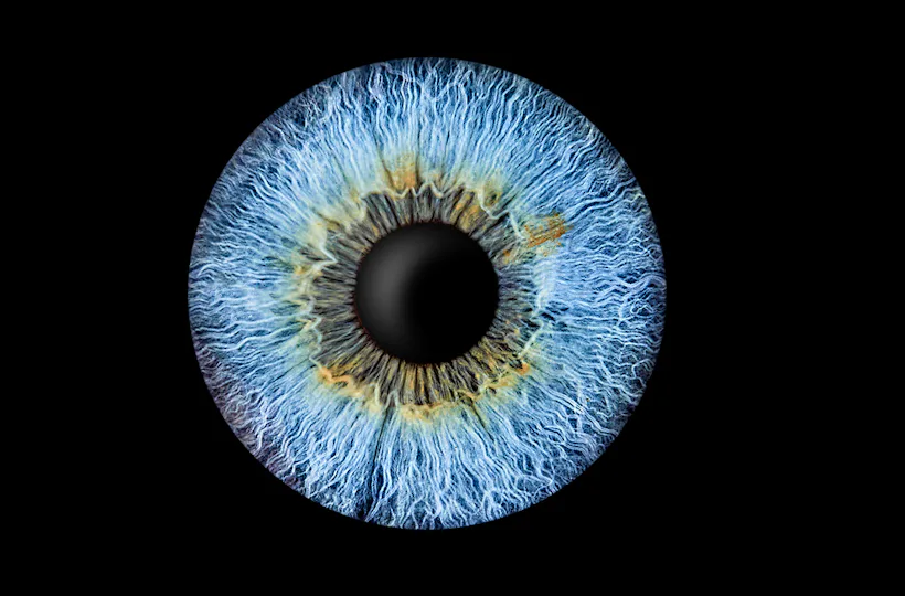 Iris Fotografie Haßfurt
