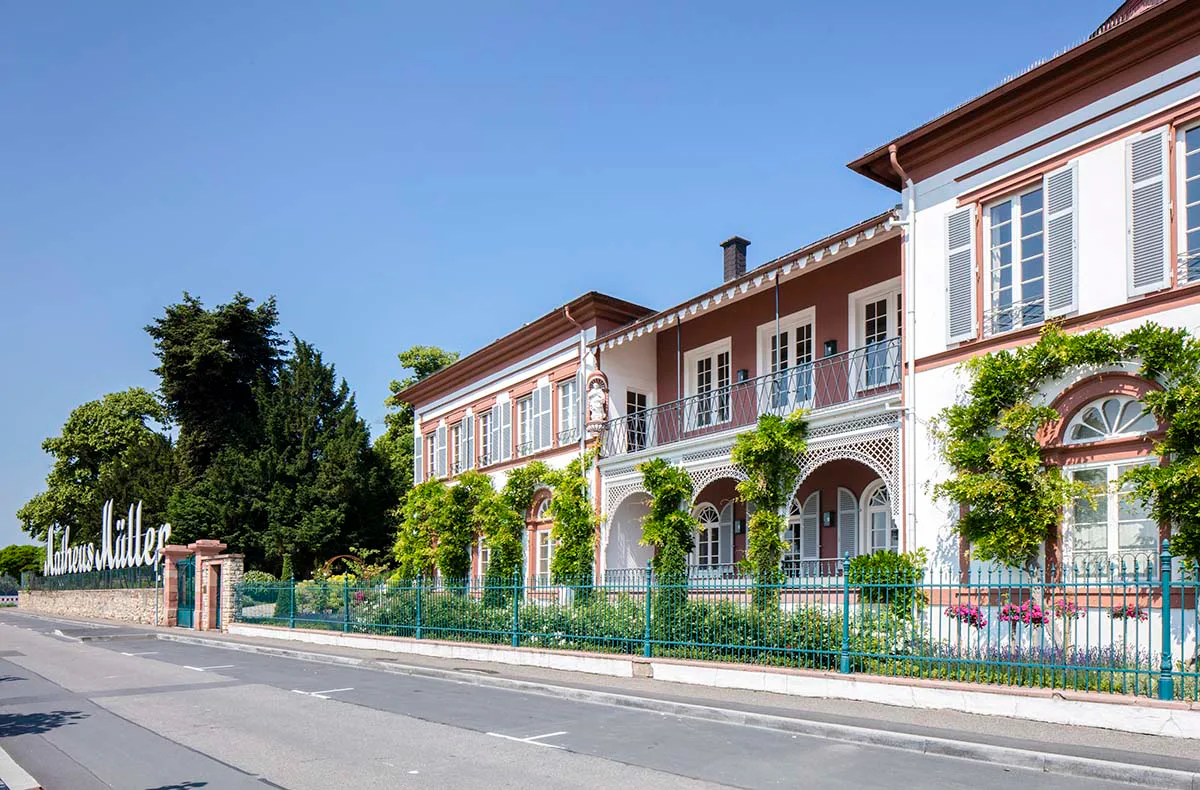 Käse und Weinseminar in der Villa Mumm Eltville - 6