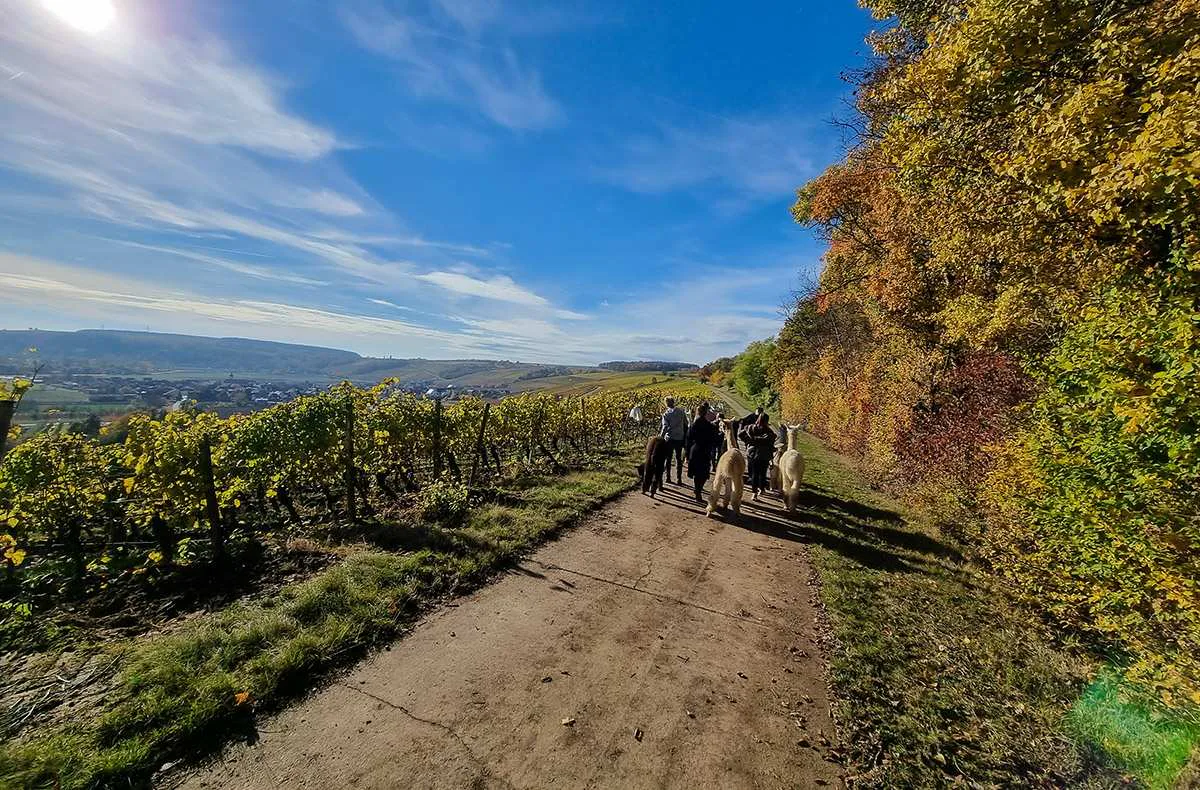 Kurzurlaub für bis zu 5 Personen Dipbach (2 Nächte) - 1