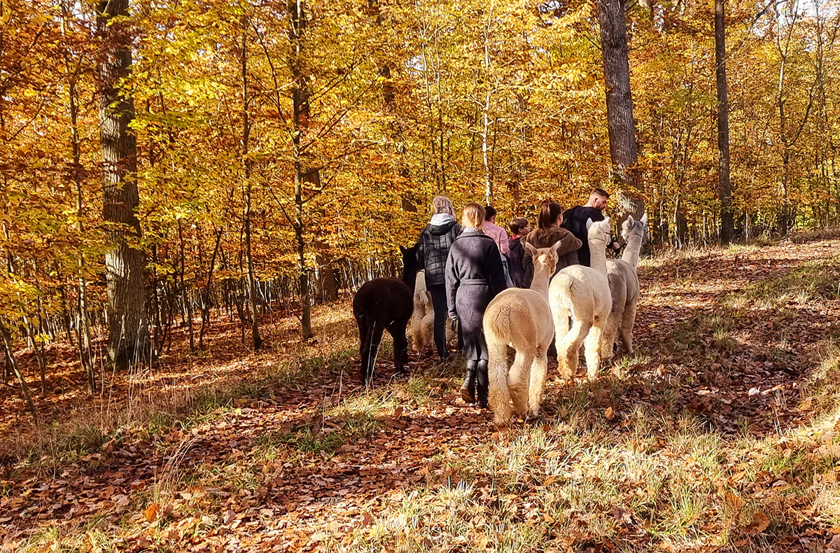 Kurzurlaub für bis zu 5 Personen Dipbach (2 Nächte) - 3