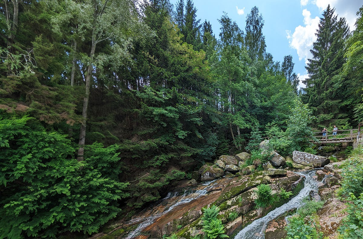 Wanderurlaub im Harz für 2 (2 Nächte)