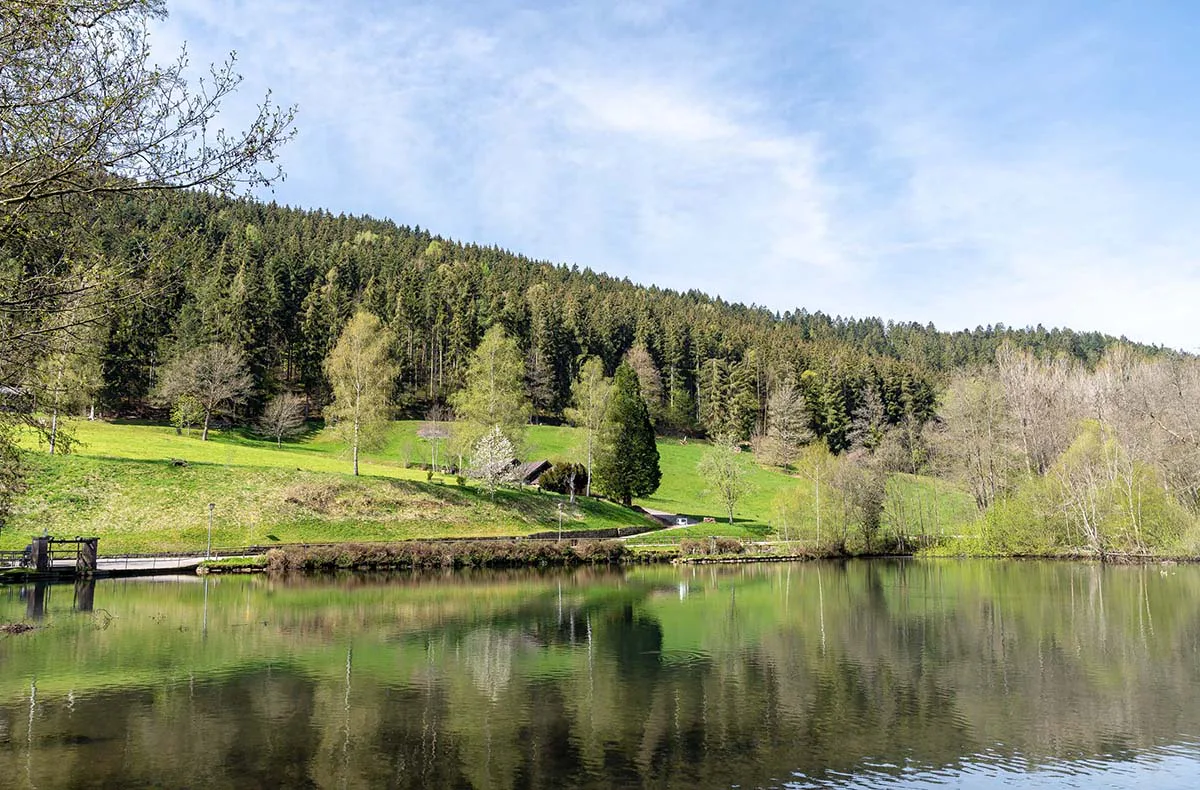 Romantikurlaub im Schwarzwald (Berneck) für 2 (2 Nächte) - 7