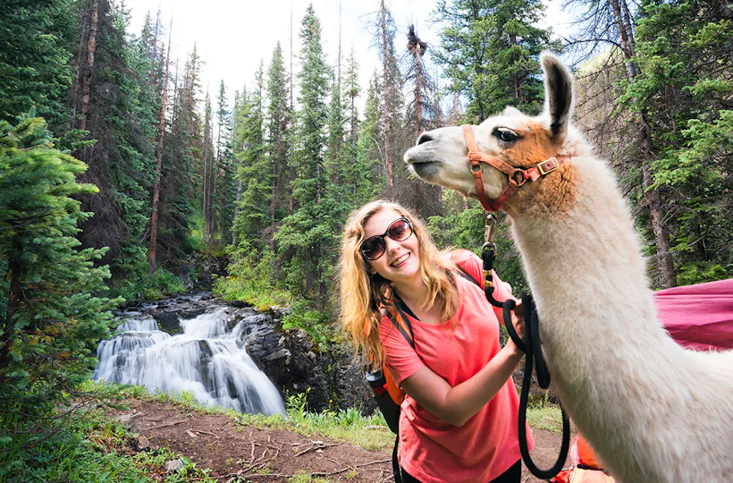 Lama-Trekkingtour