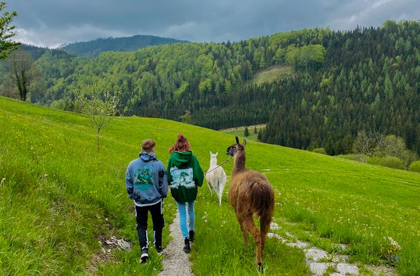 Lamawanderung mit Picknick Molln für 2