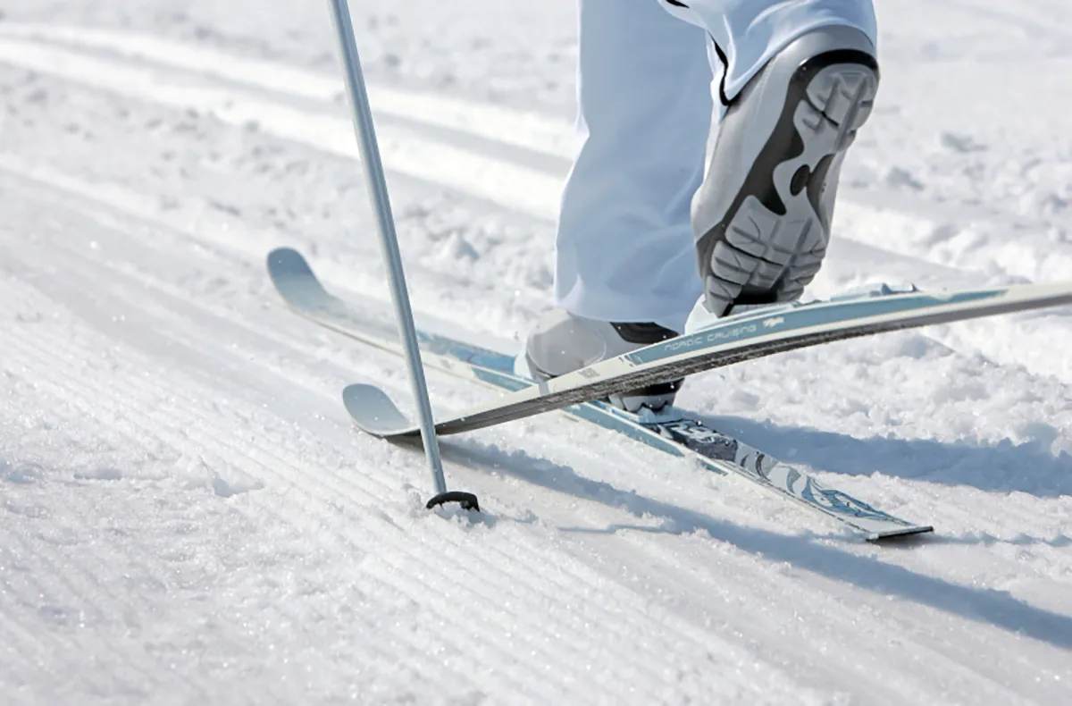 Langlauf-Kurs am Feldberg (2 Tage) - 3