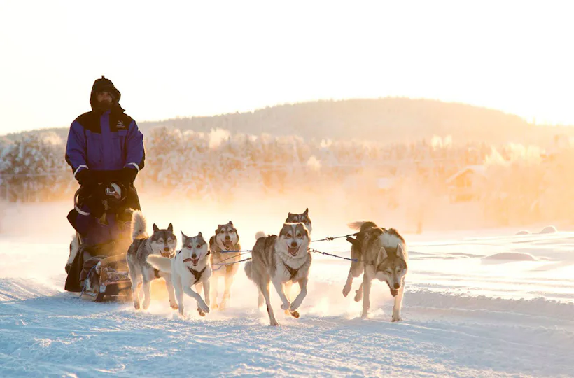 Lappland mit Schlittenfahrt für 2
