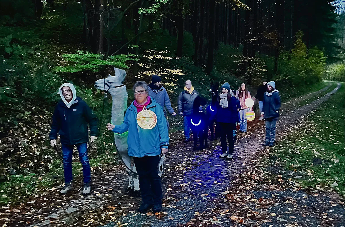 Laternenwanderung mit Alpakas Neckargerach - 3