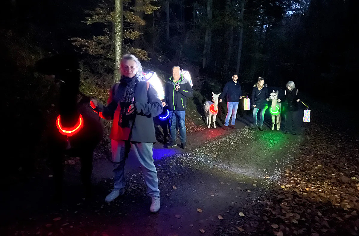 Laternenwanderung mit Alpakas Neckargerach - 4
