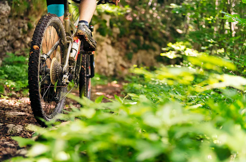 Mountainbike Kurs Kreuth (Basis-Kompakt)