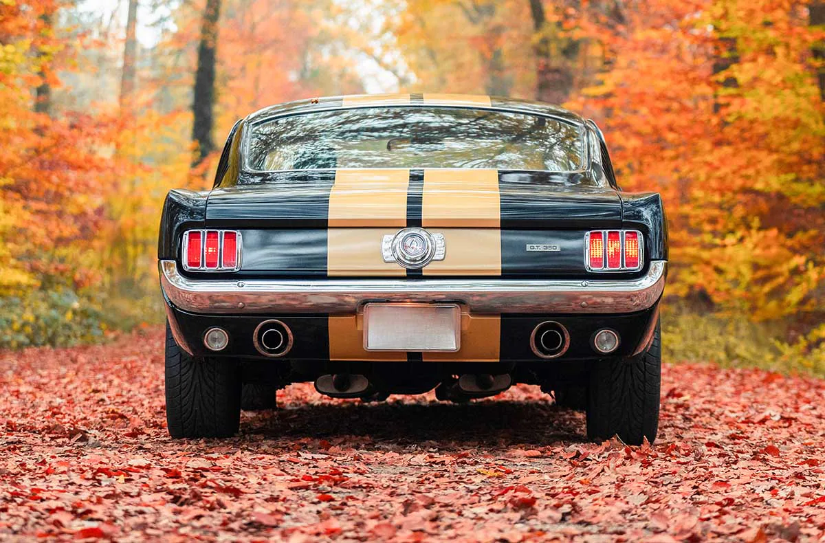 1966er Mustang Fastback mieten Hamburg (8 Std.) - 5