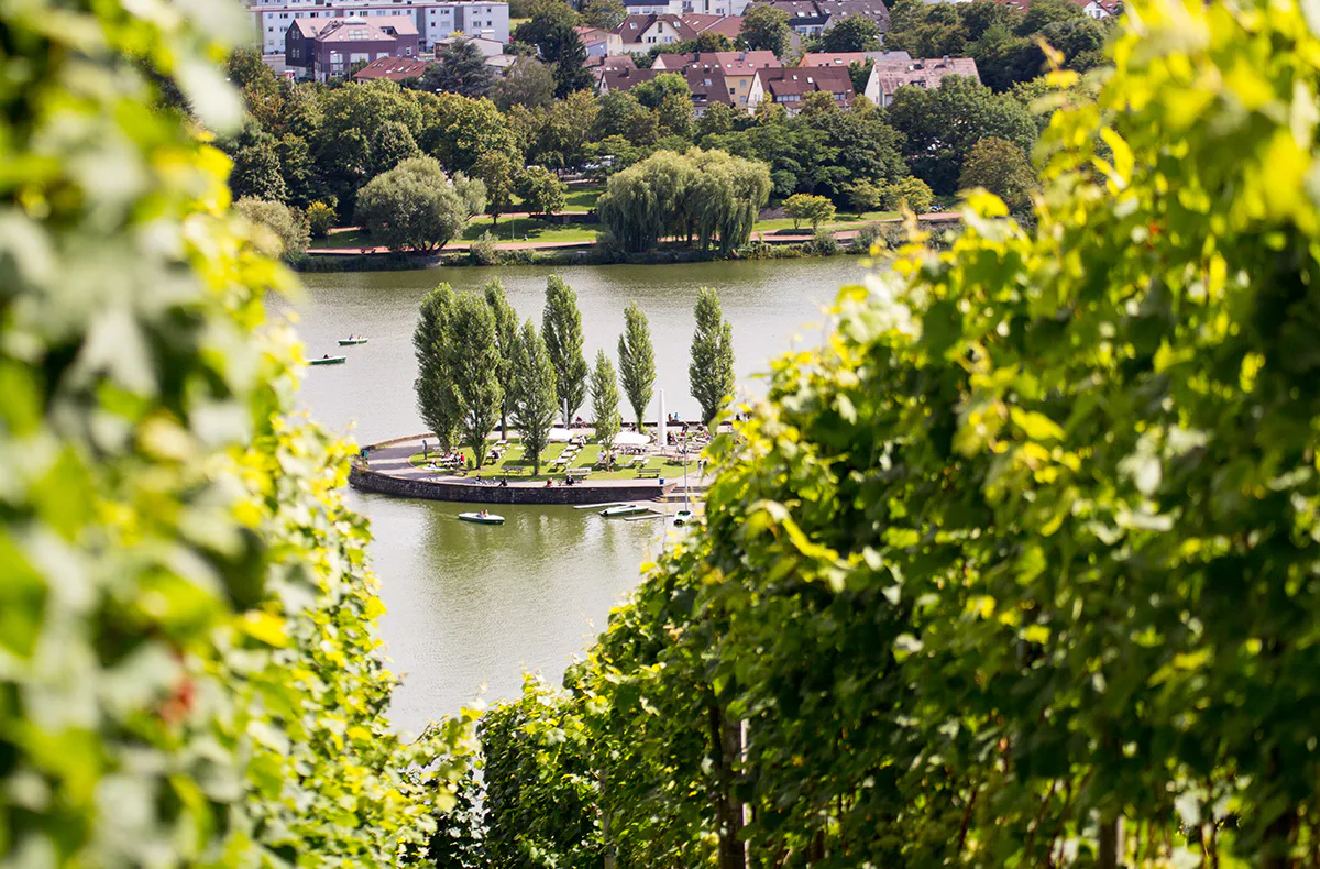 Naturerlebnistag Stuttgart für 2 (4 Std.) - 5