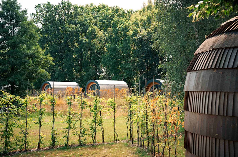 Außergewöhnlich Übernachten in der NestLodge Oranienburg für 2 (1 Nacht)