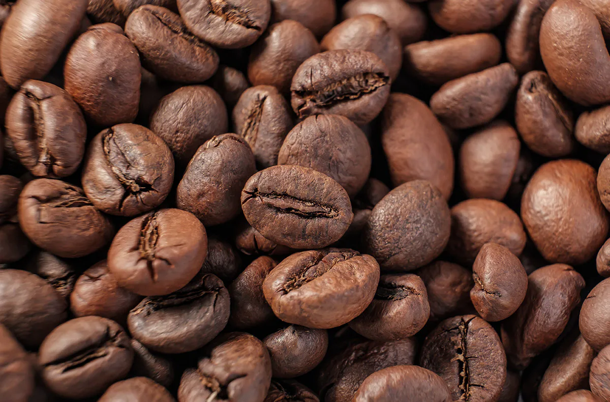 Online Baristakurs mit Nicole Battefeld - 4
