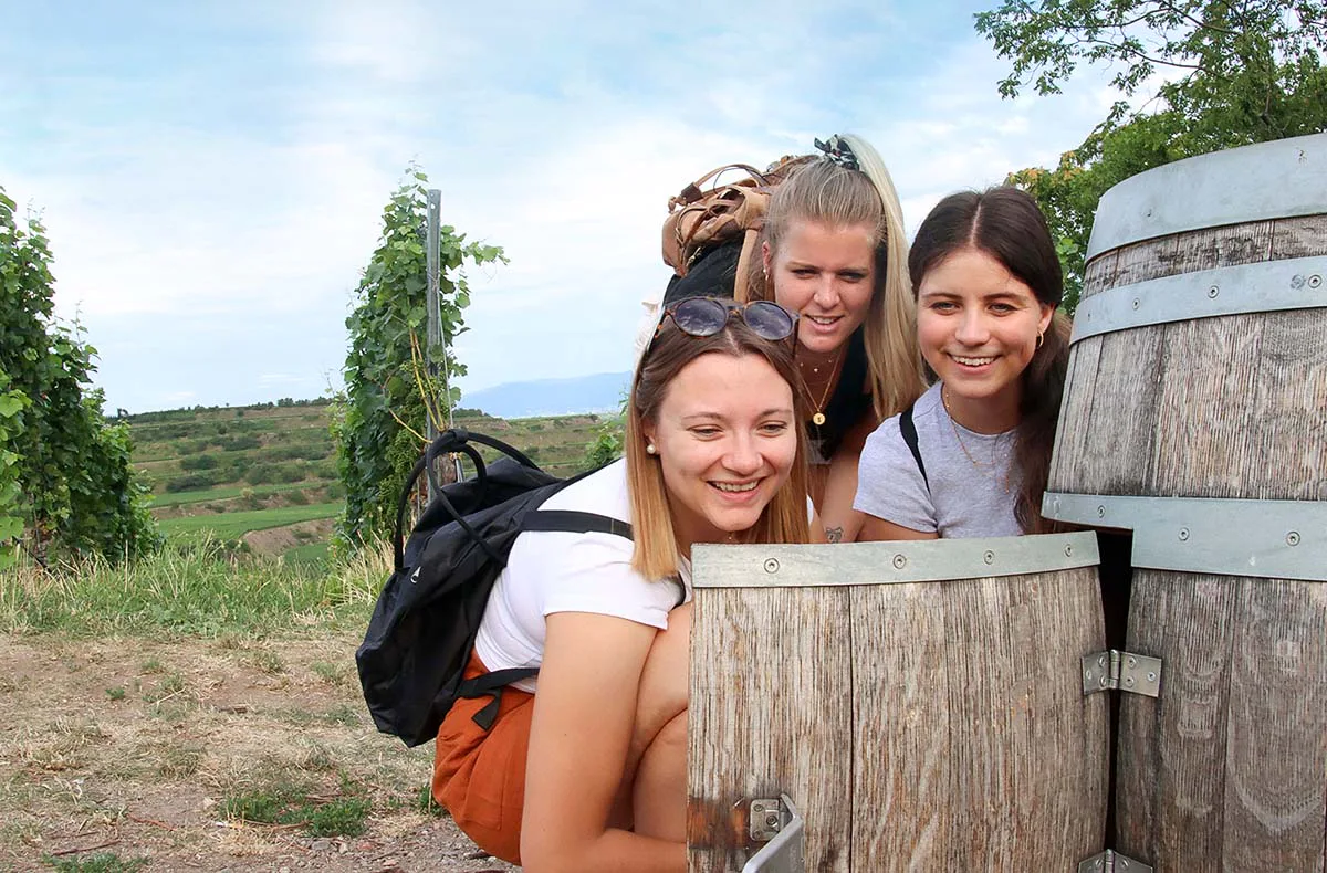 Outdoor Escape Gruppe - Anfänger "In Vino Veritas" Obernbreit - 3