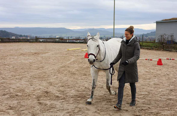 Pferdegestütztes Coaching Ammerbuch