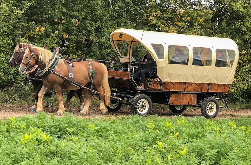 Planwagenfahrt Langenfeld für 2