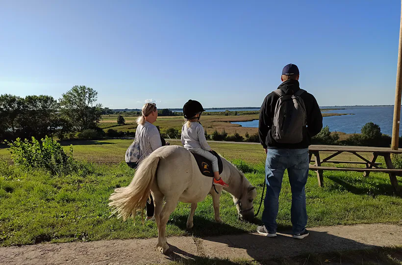 Pony Spaziergang für 2