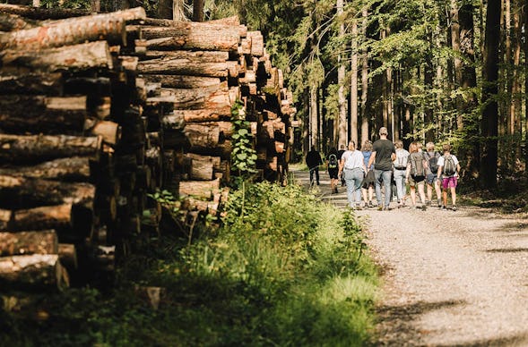 Quizwanderung Überwald Grasellenbach