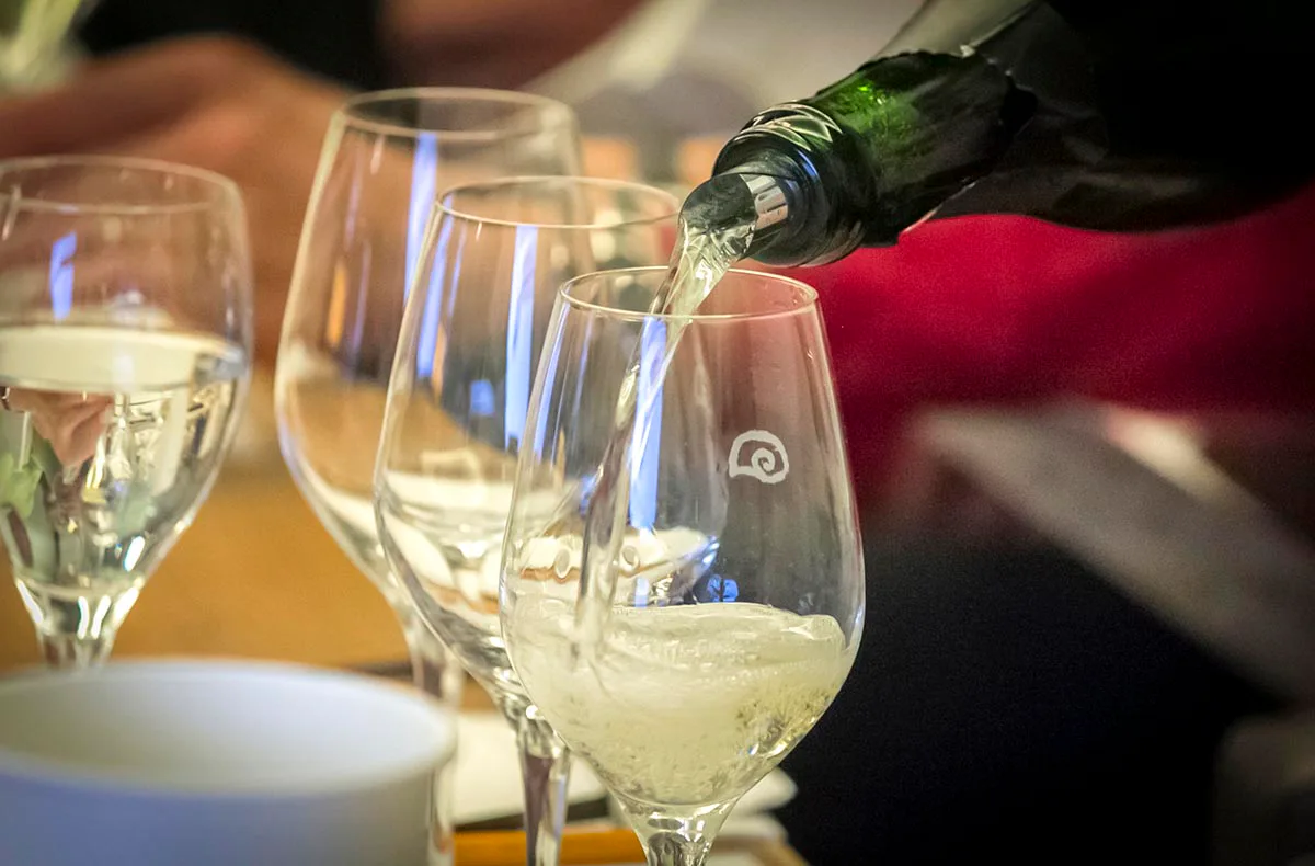Rebsortenkurs mit Degustation für 2 Regensburg - 6