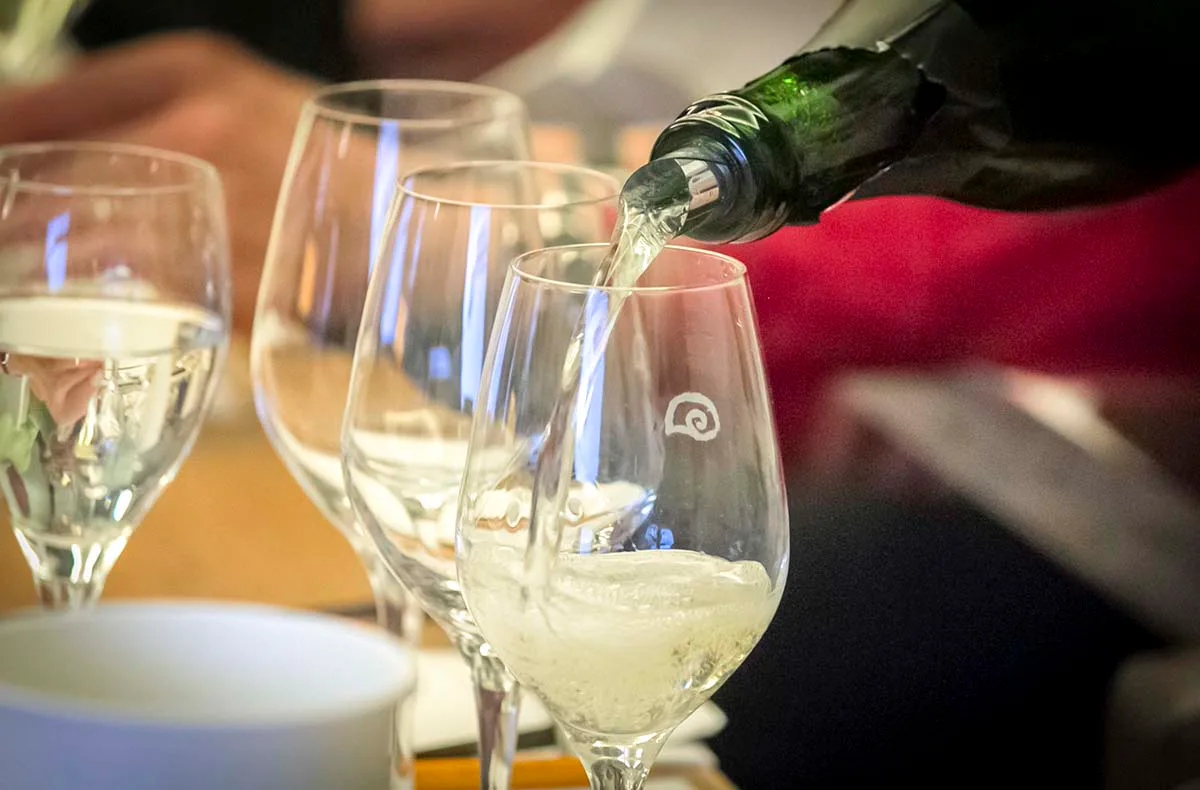 Rebsortenkurs mit Degustation für 2 Winterthur - 5