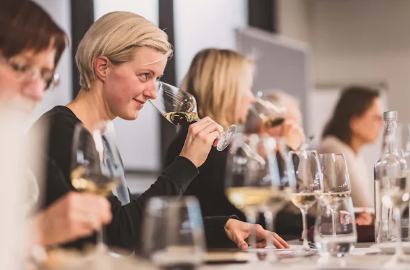 Rebsortenkurs mit Degustation für 2 Stuttgart