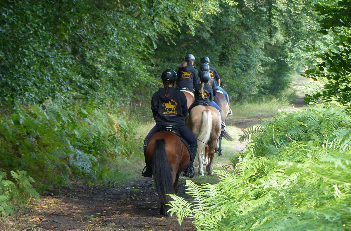 Rennreiten für Einsteiger Bad Doberan - 2