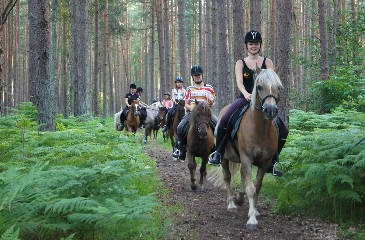 Rennreiten für Einsteiger Bad Doberan - 3