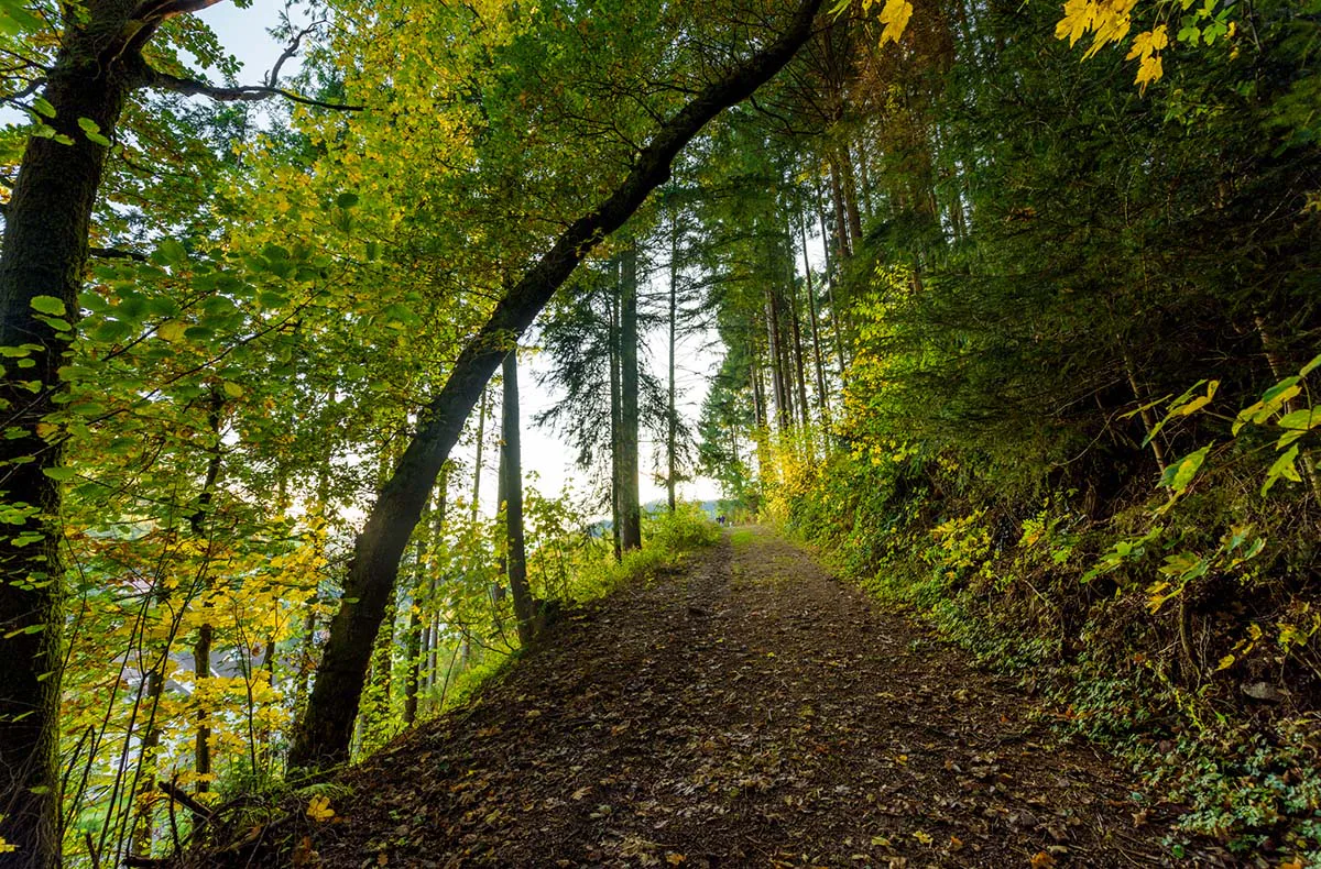 Romantikurlaub Hütte mit Vesperkorb Schwarzwald für 2 (1 Nacht) - 4