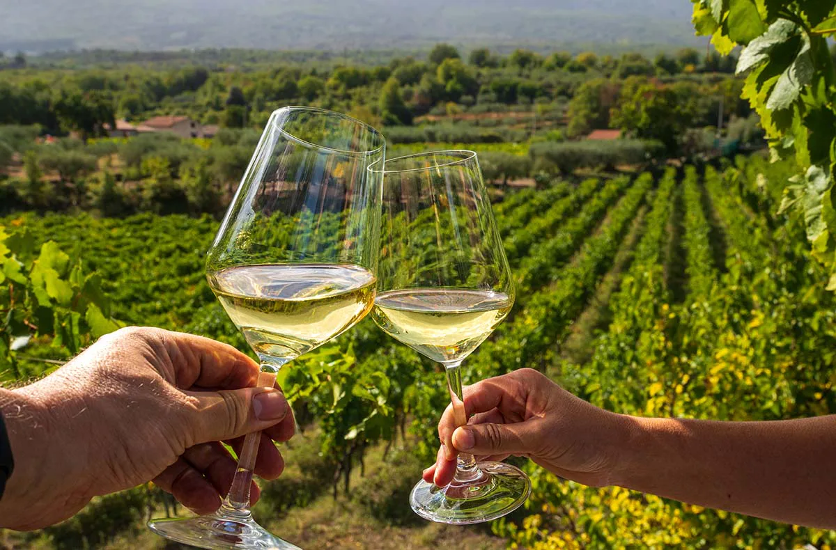 Kurzurlaub im Weingut an der Mosel für 2 (2 Nächte) - 2
