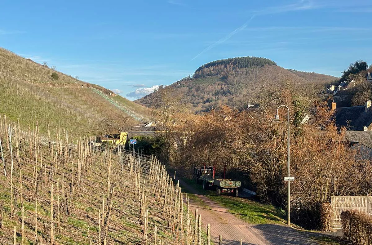 Kurzurlaub im Weingut an der Mosel für 2 (2 Nächte) - 3