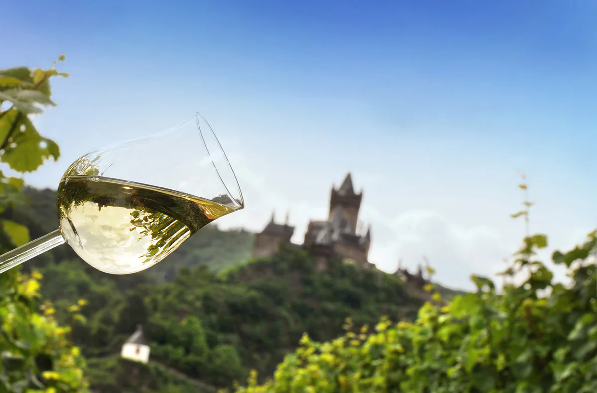 Weinausflug und Schifffahrt auf der Mosel Cochem - 3