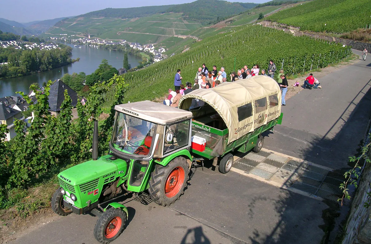 Weinausflug und Schifffahrt auf der Mosel Cochem - 4