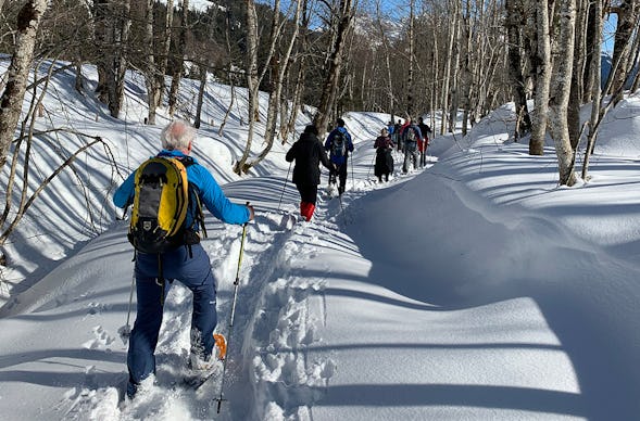 Schneeschuh wandern Lungötz im Lammertal