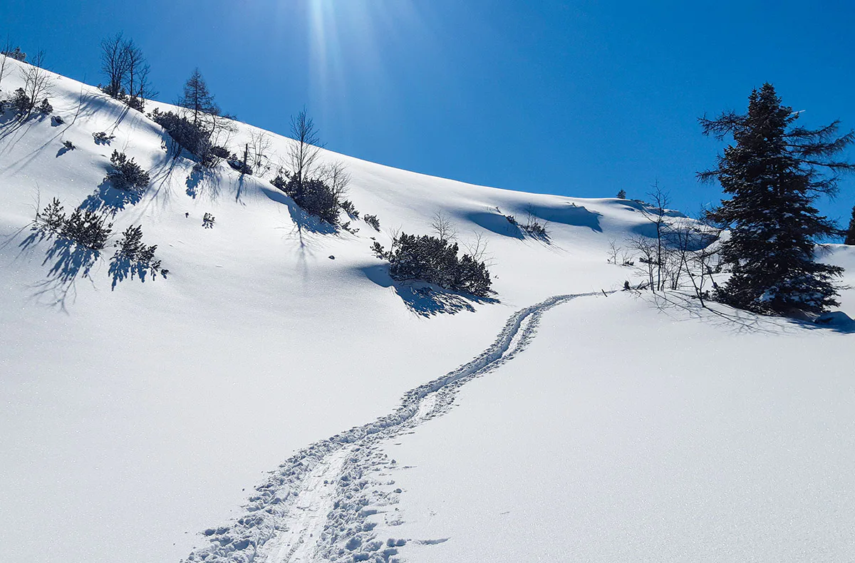 Schneeschuhwanderung Reit im Winkl mit Rodeln - 4