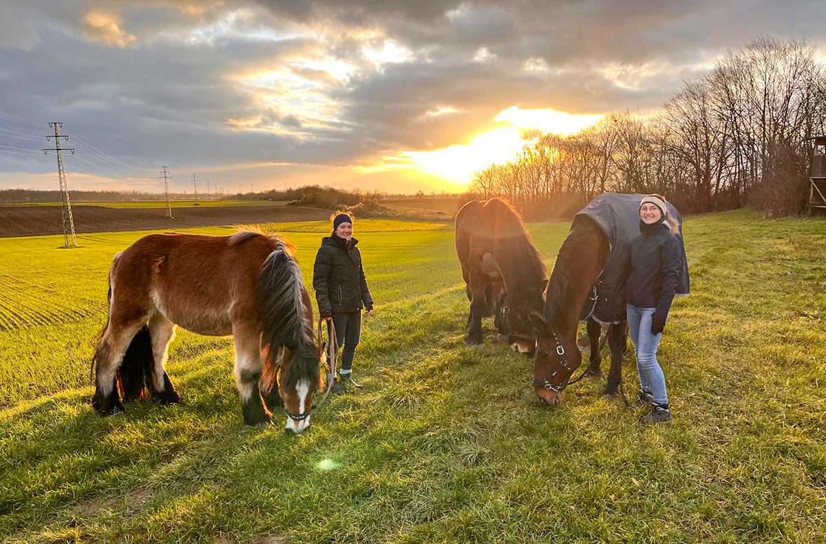 Spaziergang mit Pferd Insheim - 2