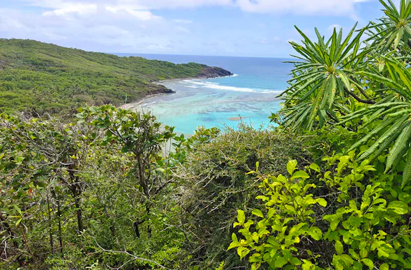 Survival Training Karibik