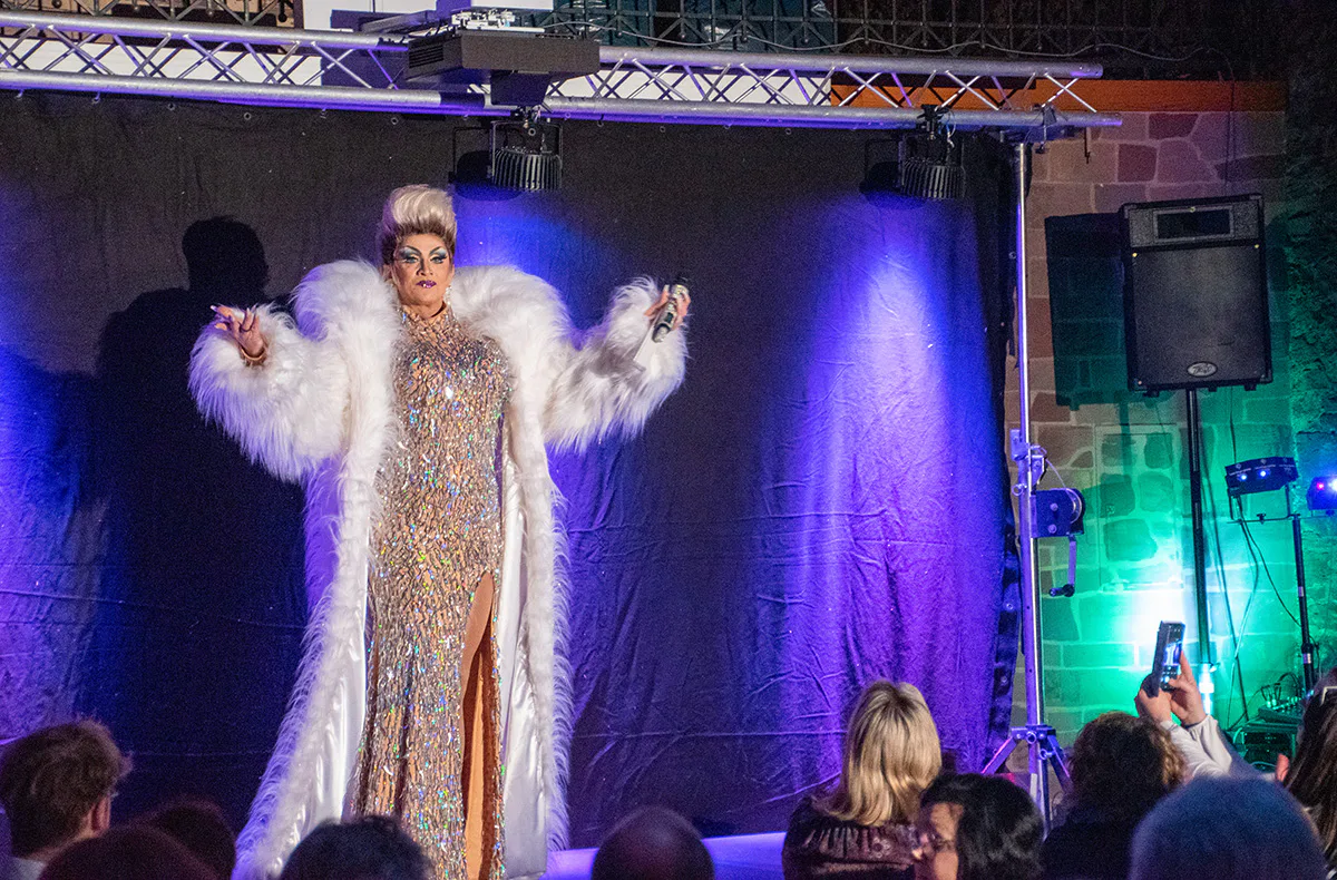 Travestie & Mirage Show Karlsruhe - 3