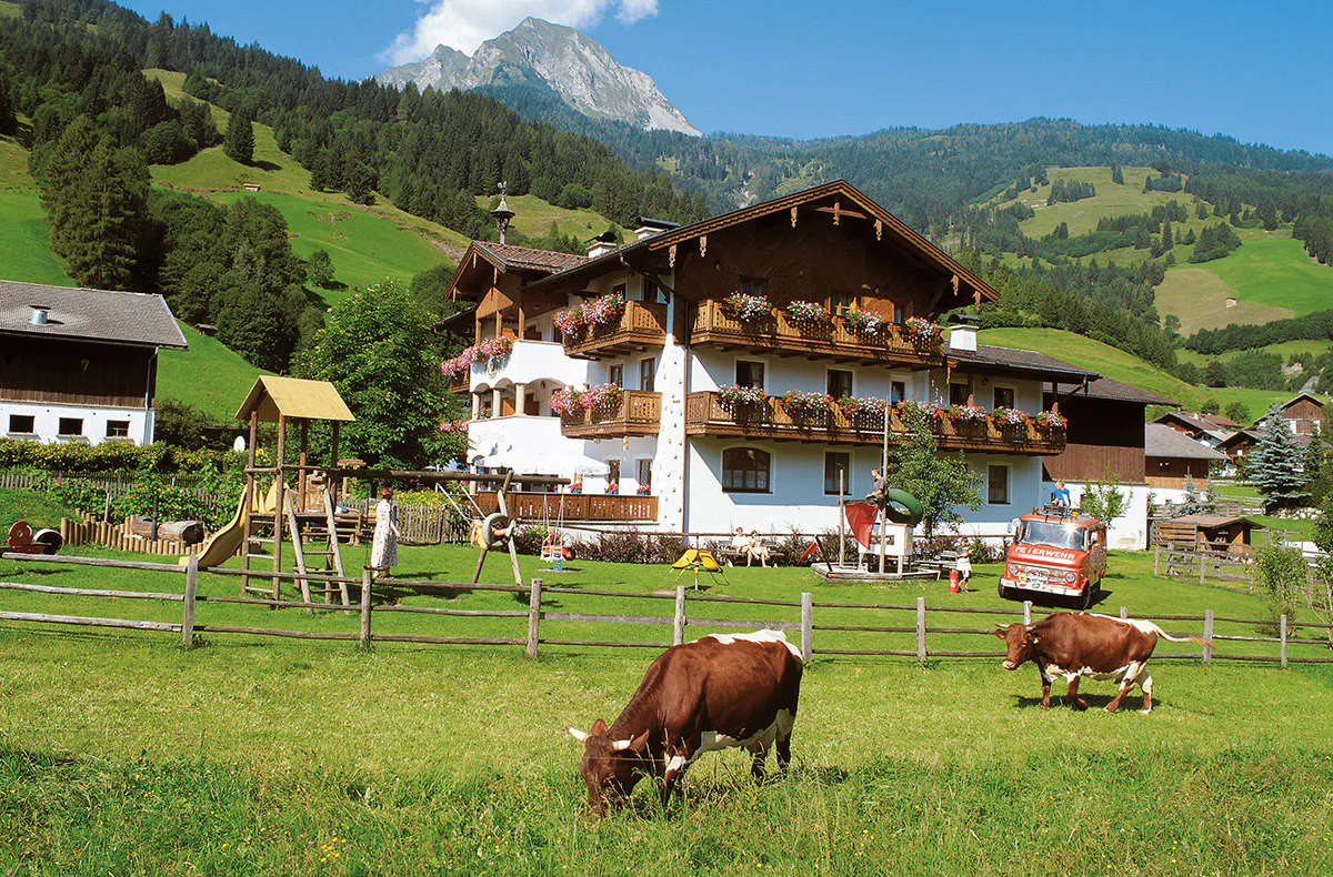 Übernachtung im Garten Himmelbett Dorfgastein für 2 (1 Nacht) - 5